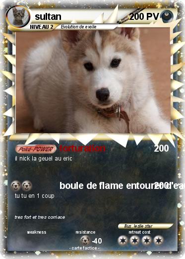 Pokemon sultan