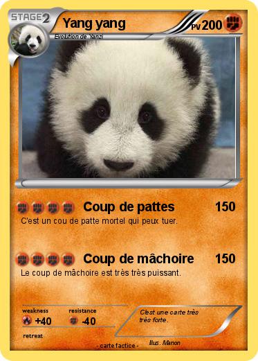 Pokemon Yang yang