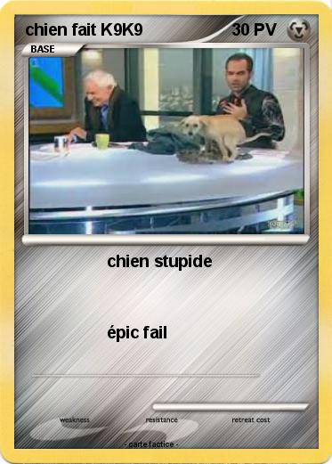 Pokemon chien fait K9K9