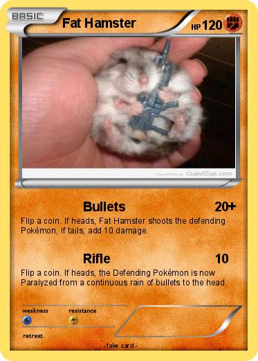 Pokemon Fat Hamster