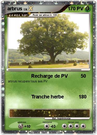 Pokemon arbrus