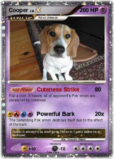 Pokemon Cooper