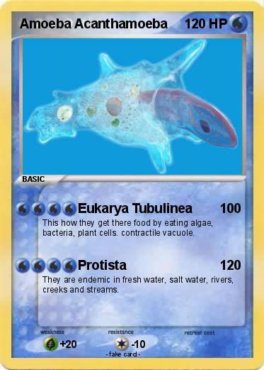 Pokemon Amoeba Acanthamoeba