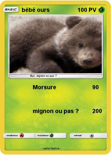 Pokemon bébé ours