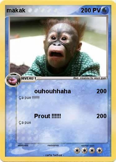 Pokemon makak