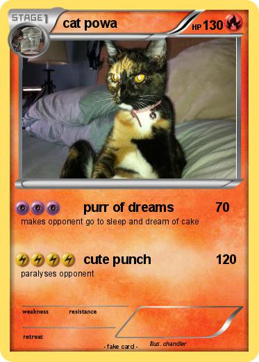 Pokemon cat powa