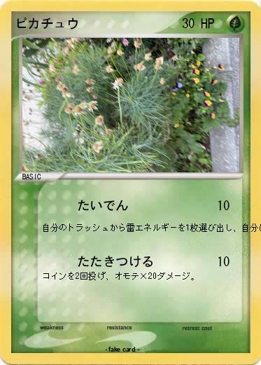 Pokemon ピカチュウ