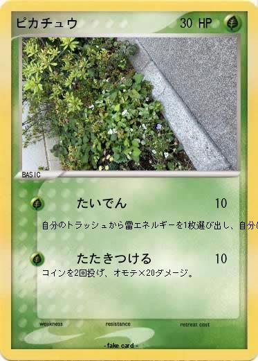 Pokemon ピカチュウ