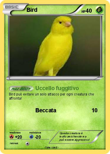 Pokemon Bird