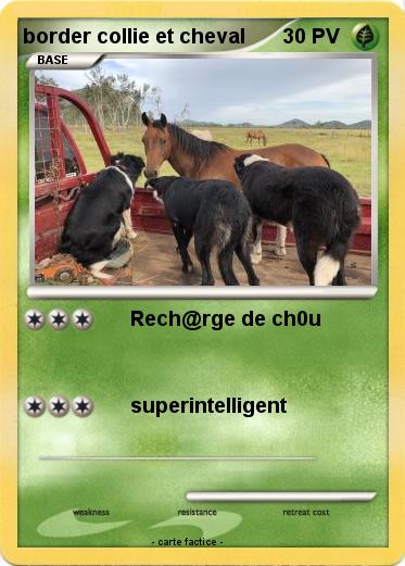 Pokemon border collie et cheval