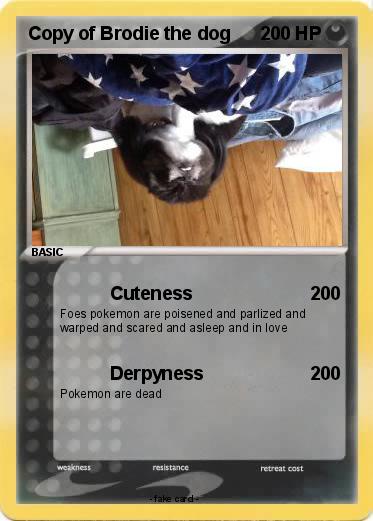 Pokemon Copy of Brodie the dog