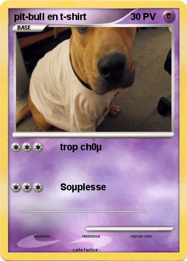 Pokemon pit-bull en t-shirt