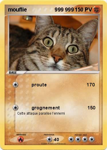 Pokemon mouflie                   999 999