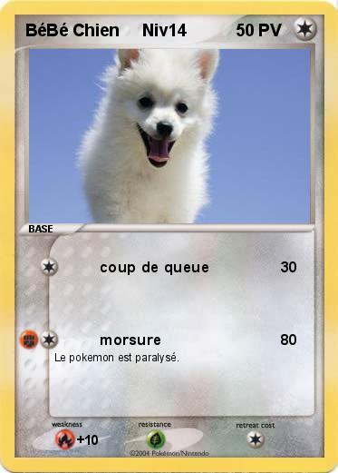 Pokemon BéBé Chien     Niv14
