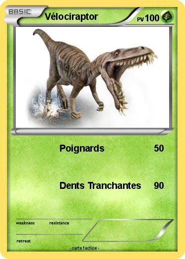 Pokemon Vélociraptor