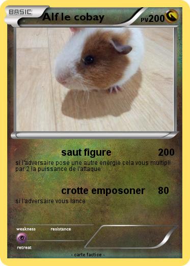 Pokemon Alf le cobay