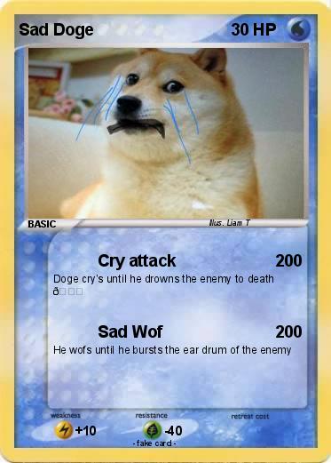 Pokemon Sad Doge