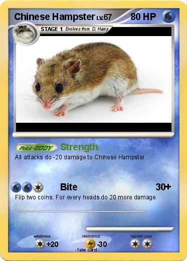 Pokemon Chinese Hampster