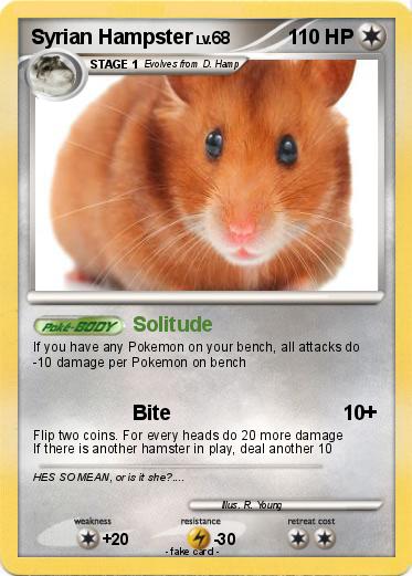 Pokemon Syrian Hampster