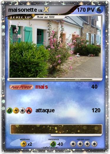 Pokemon maisonette
