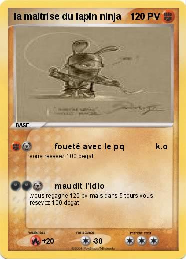 Pokemon la maitrise du lapin ninja