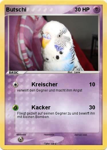 Pokemon Butschi