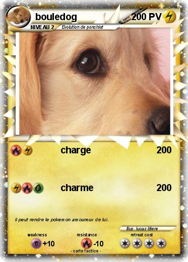 Pokemon bouledog
