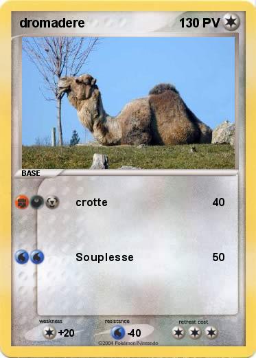 Pokemon dromadere