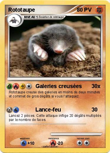 Pokemon Rototaupe