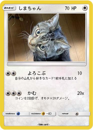 Pokemon しまちゃん