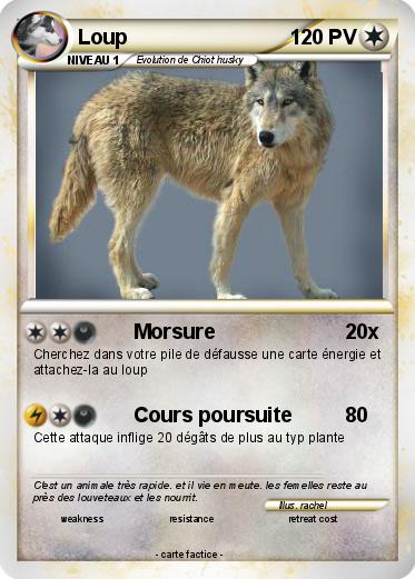 Pokemon Loup