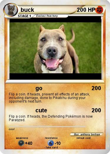 Pokemon buck
