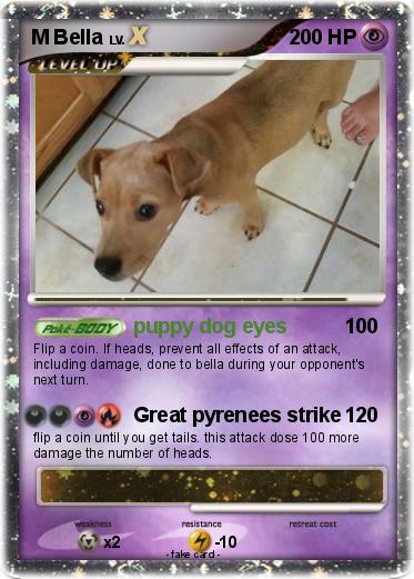 Pokemon M Bella