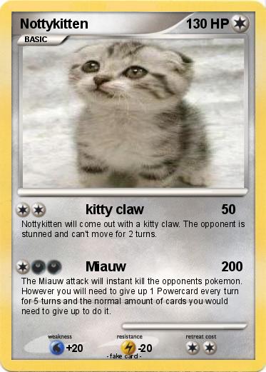 Pokemon Nottykitten