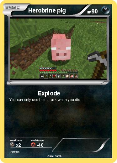 Pokemon Herobrine pig
