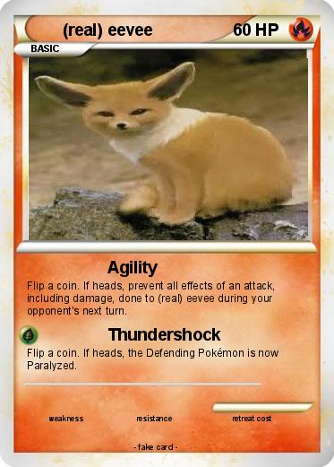 Pokemon (real) eevee