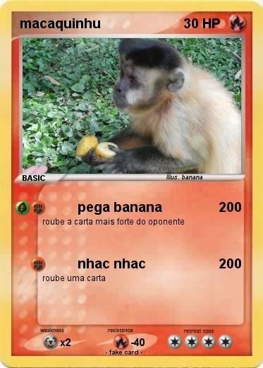 Pokemon macaquinhu
