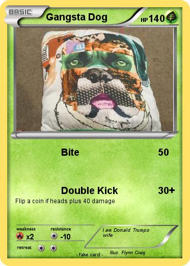 Pokemon Gangsta Dog