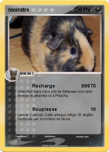 Pokemon monstre