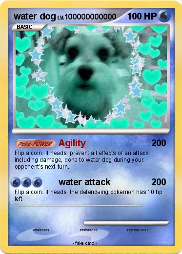 Pokemon water dog