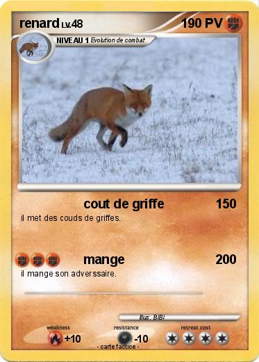 Pokemon renard