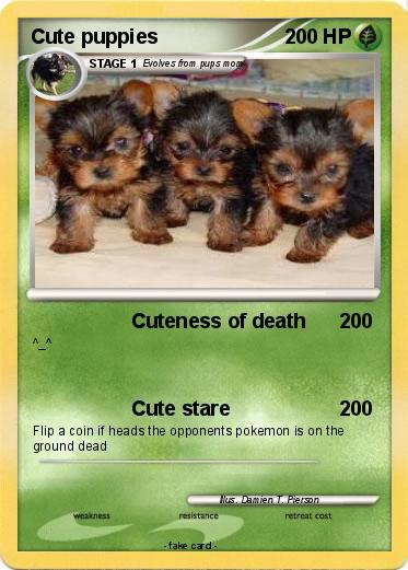 Pokemon Cute puppies