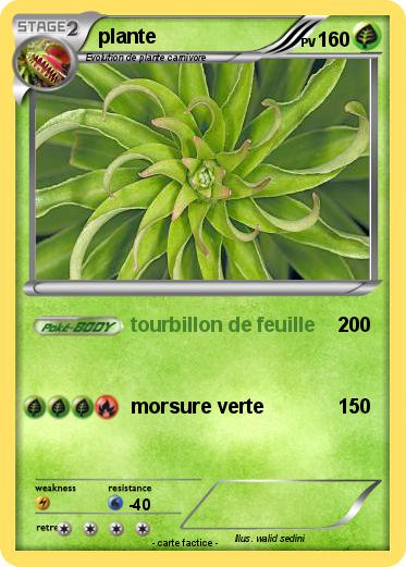 Pokemon plante