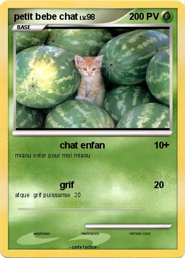 Pokemon petit bebe chat