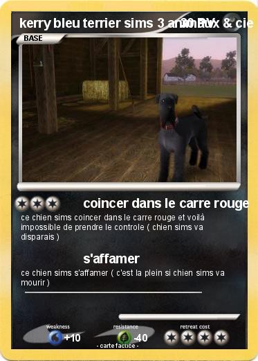 Pokemon kerry bleu terrier sims 3 animaux & cie
