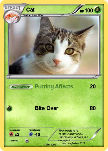 Pokemon Cat