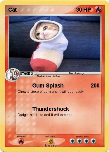 Pokemon Cat