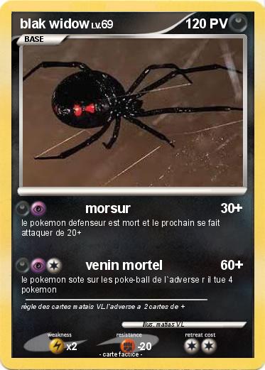 Pokemon blak widow