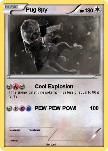 Pokemon Pug Spy