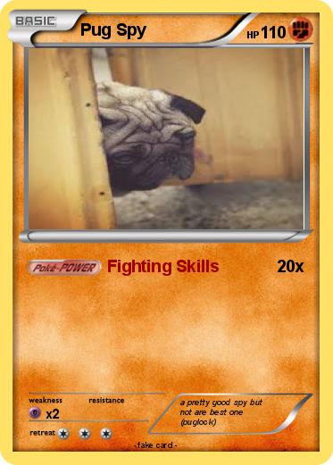 Pokemon Pug Spy